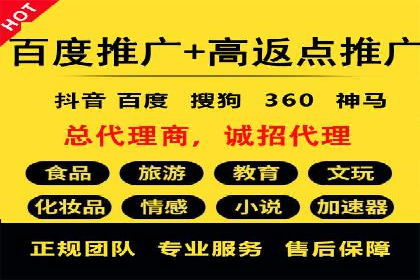 SEM代理服务：案例对比，效果哪家更胜一筹